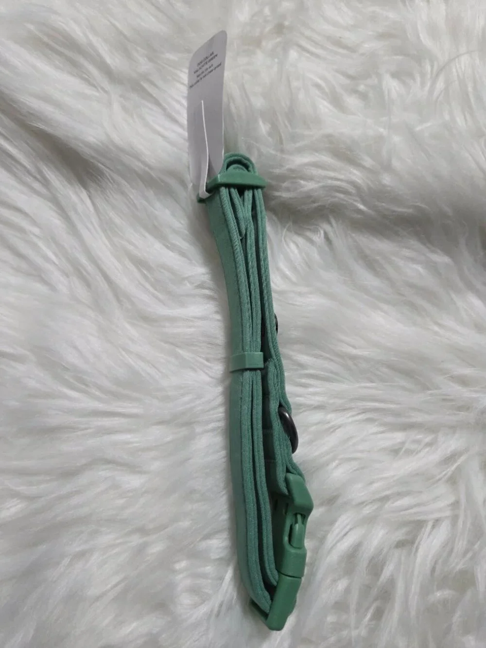 Frisco Monochromatic Green Dog Collar